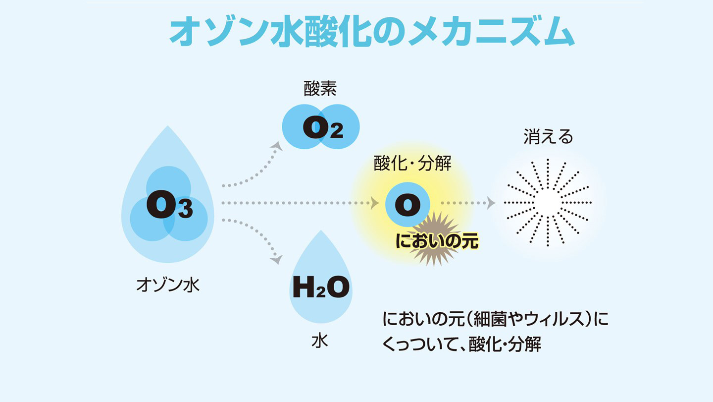 New ELEZONEについて